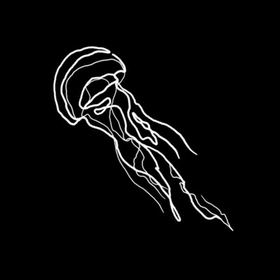 Mélissa Esteve's profile photo - Travel enthusiast who has visited 16 countries