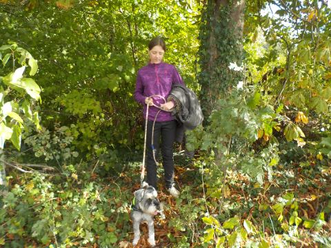 Corinne, pet sitter à Condé sur l'escaut