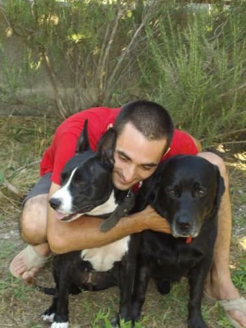 Franck, pet sitter à Saint Pargoire