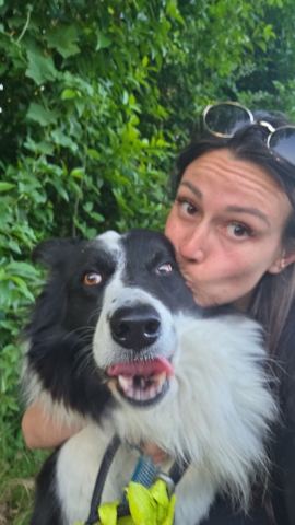 Lea, pet sitter à Châteauneuf-les-Martigues