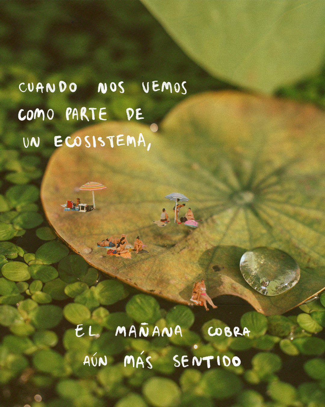 Imagen párrafo de post:Como si hubiera un mañana