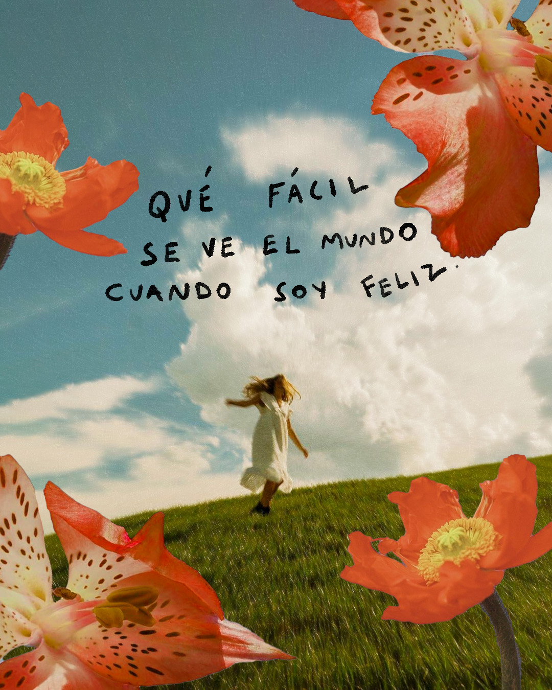 Imagen párrafo de post:Qué fácil se ve el mundo cuando soy feliz