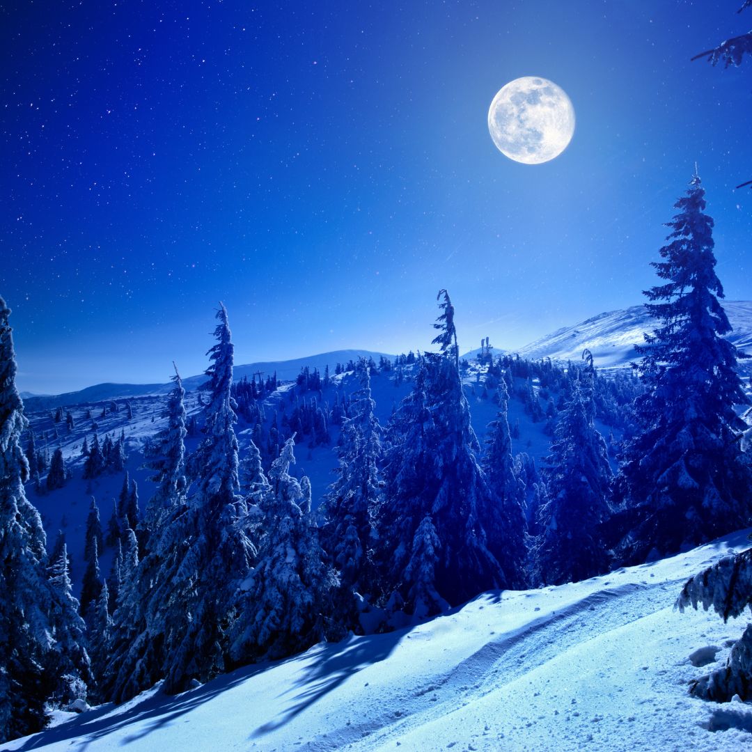 Artic Moon