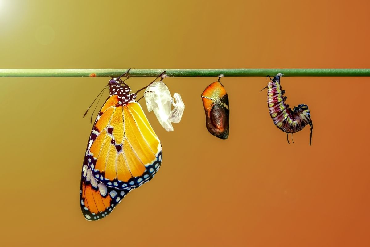 Change Begins Within