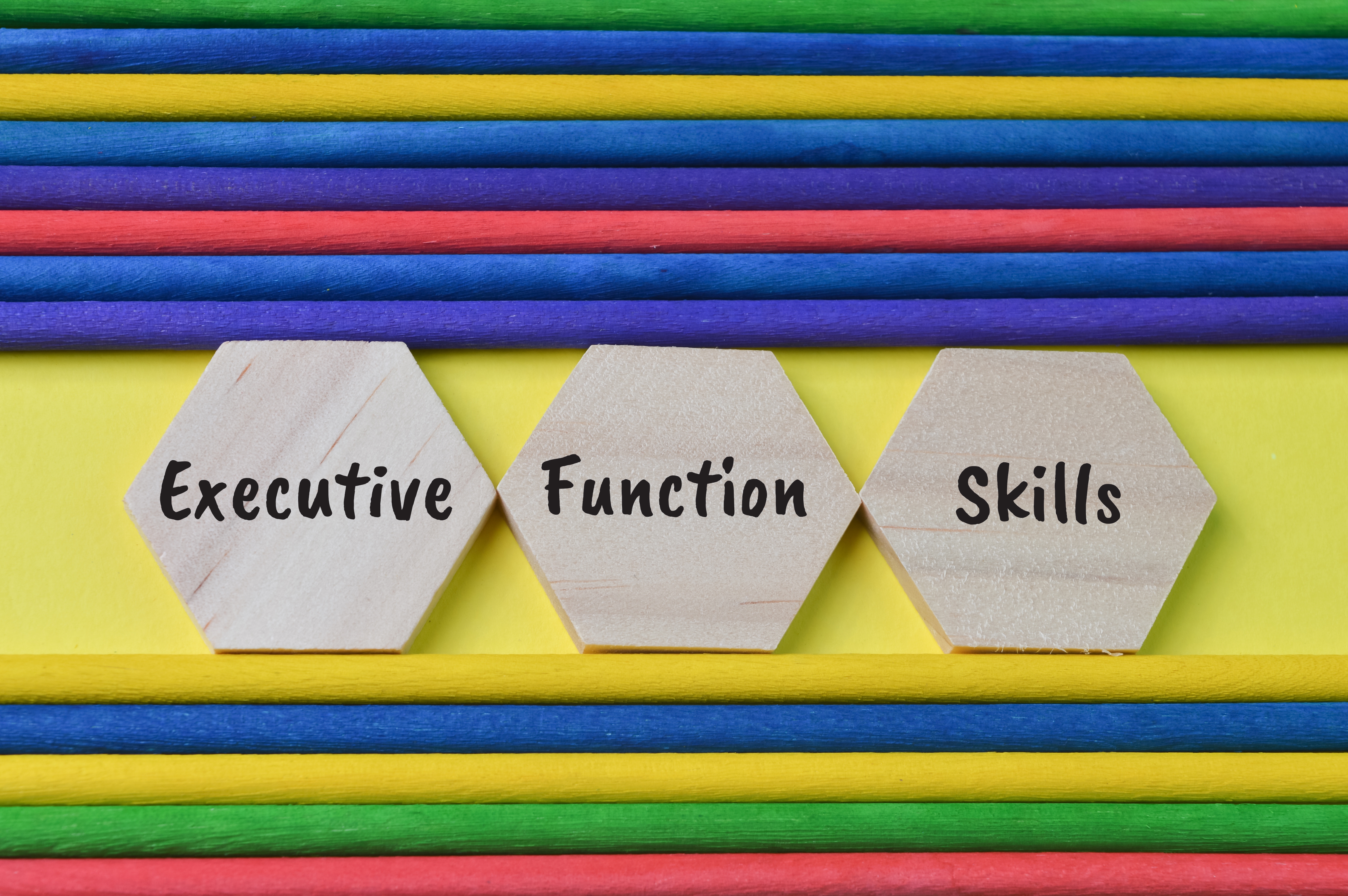 Executive Function Skills