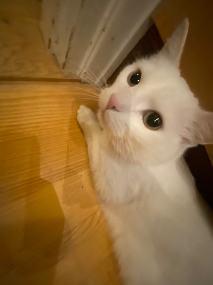 frukostätaren avatar