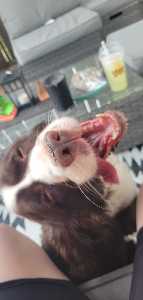 JellyEllieBean avatar