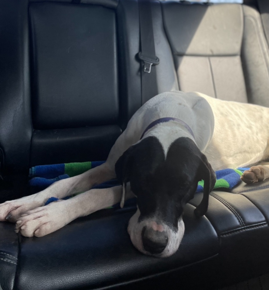 non_magick_user avatar