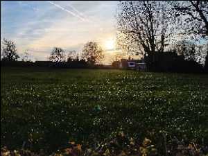 Avatar di autystyczneavo