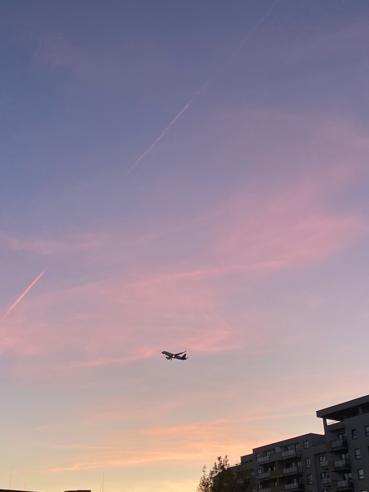 toni’smusic avatar