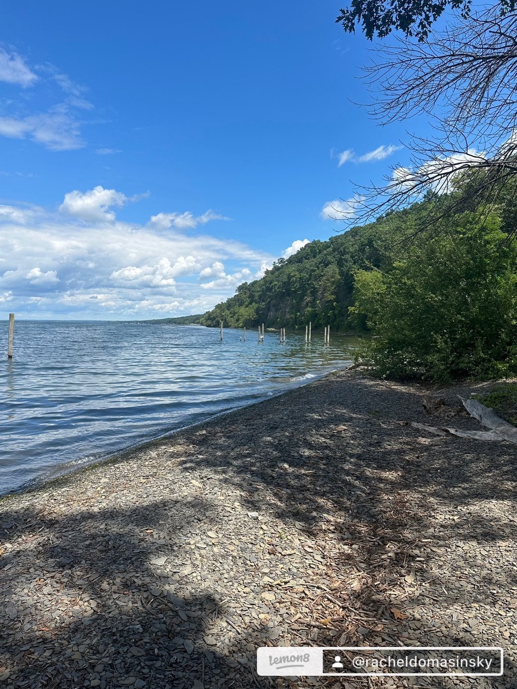 squirrelylife avatar