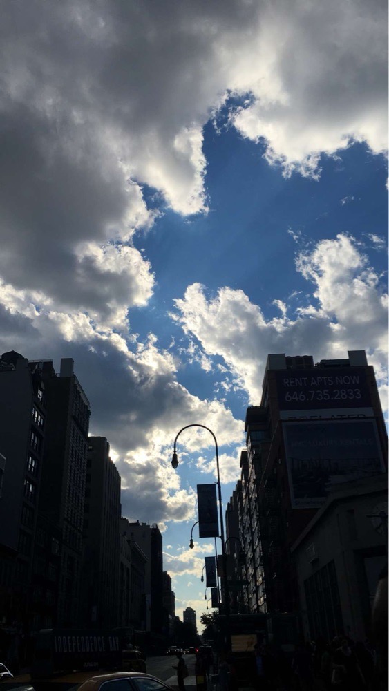 stellymarie718 avatar