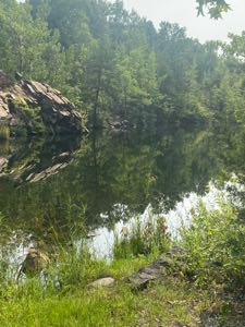 unserioususer avatar