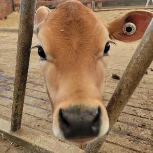 Аватар waitwhat? 