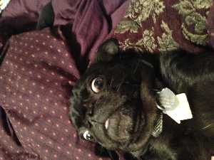 80HDAssburger avatar