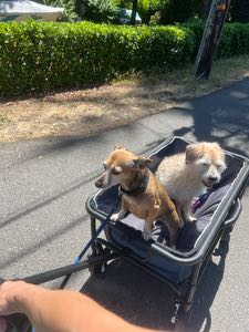 adhdartist2023 avatar