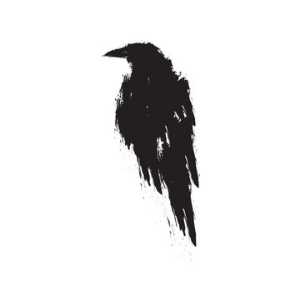 RavenX avatar