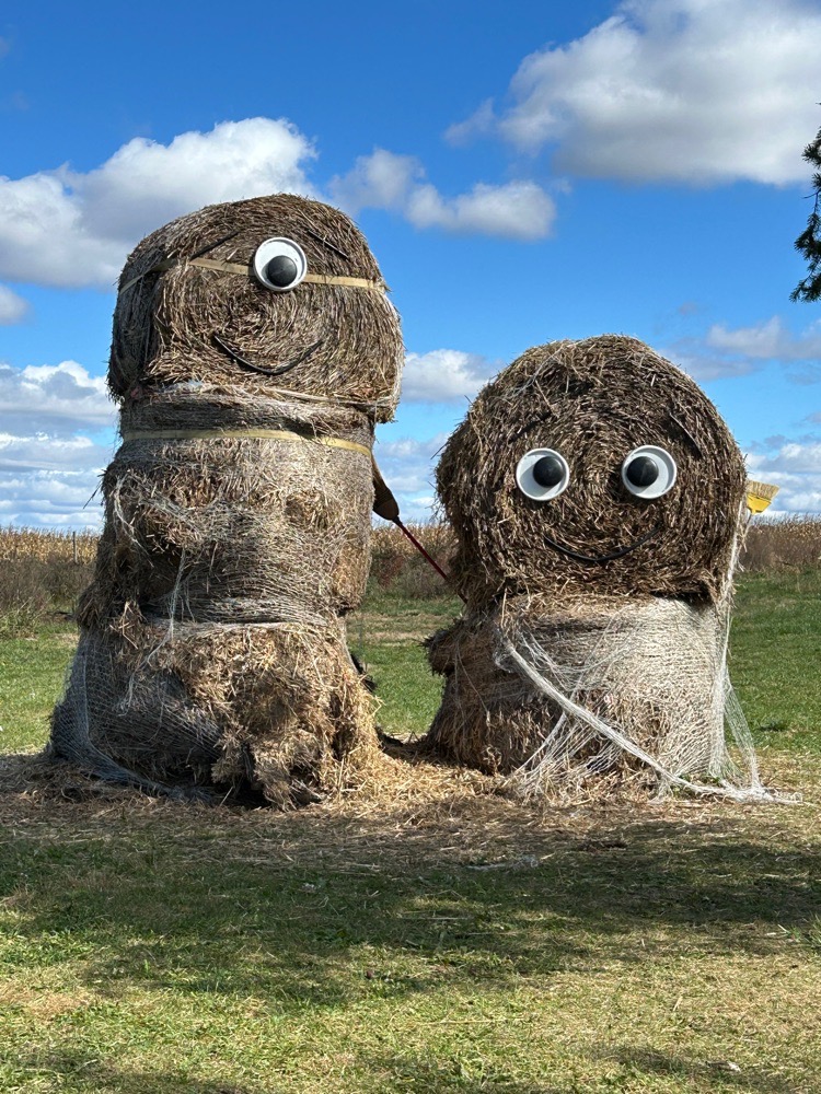 adhdrebelchic96 avatar