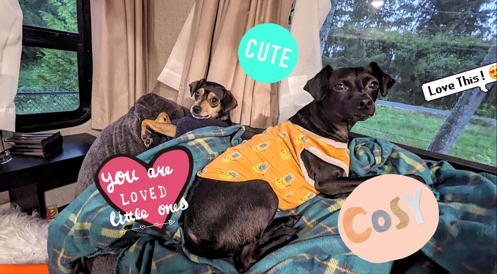 procrastin~aly avatar