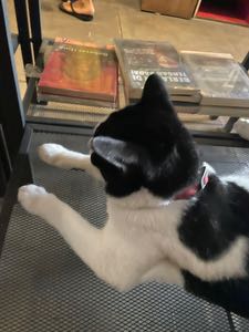 routinephobia avatar