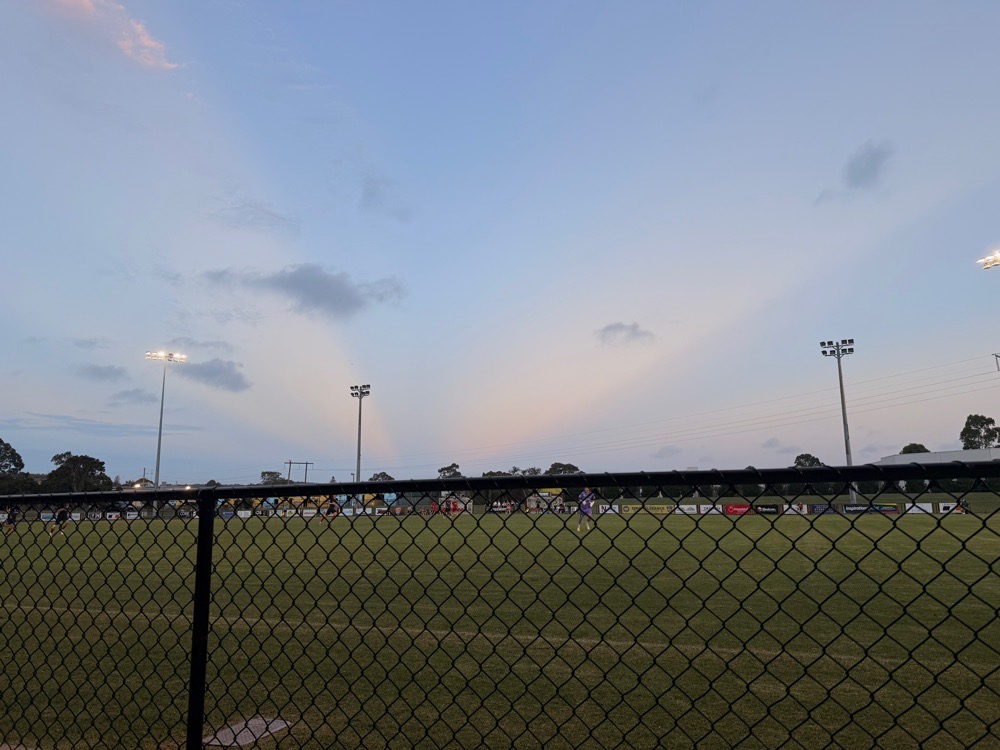 bellabear1258 avatar