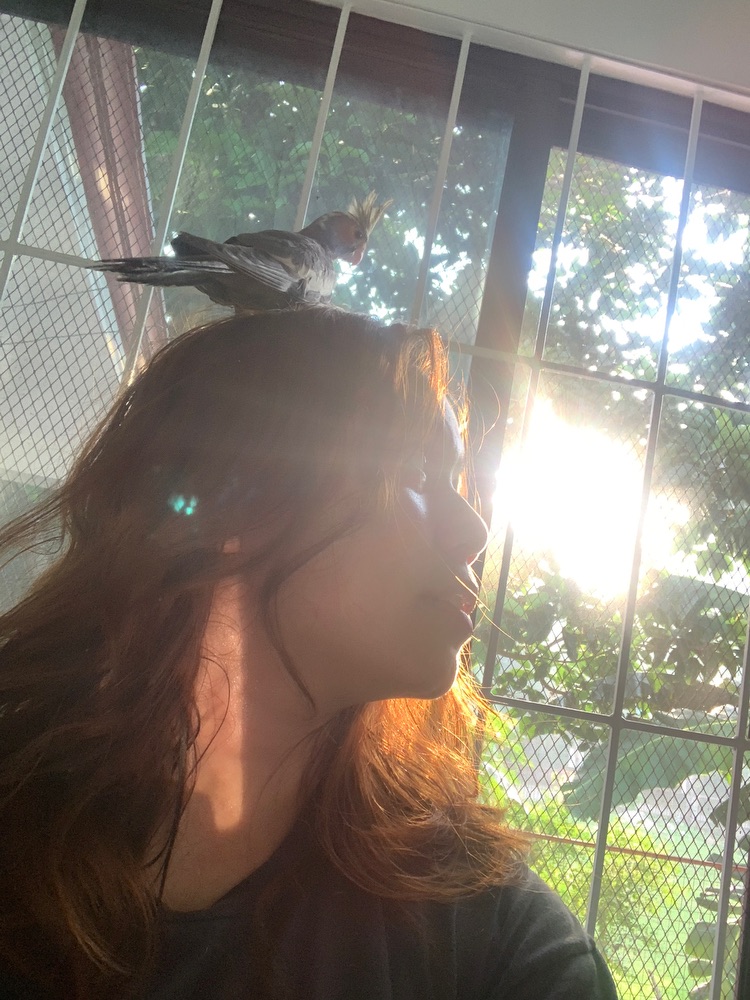 isabelandthesun avatar