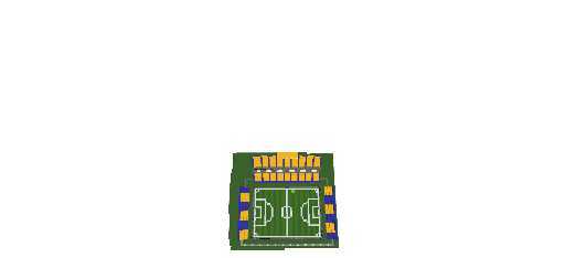 mini estadio