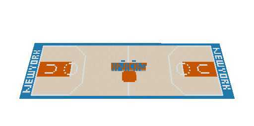 New York Knicks Basketball Court
