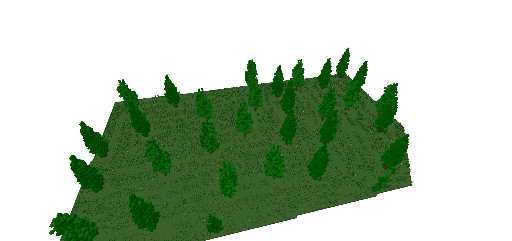 tree spencer