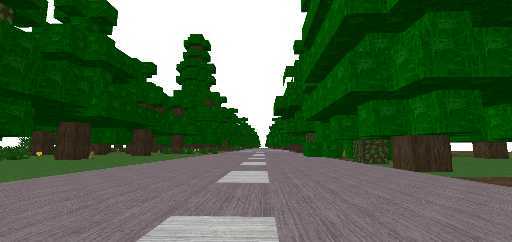 дорога с деревьями