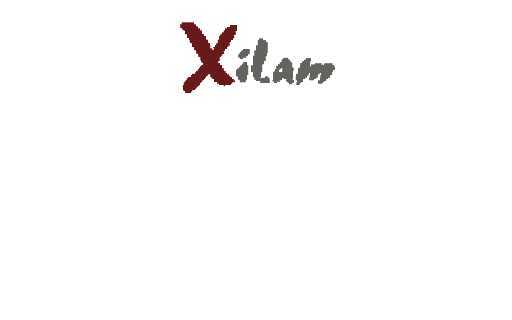 Xilam logo