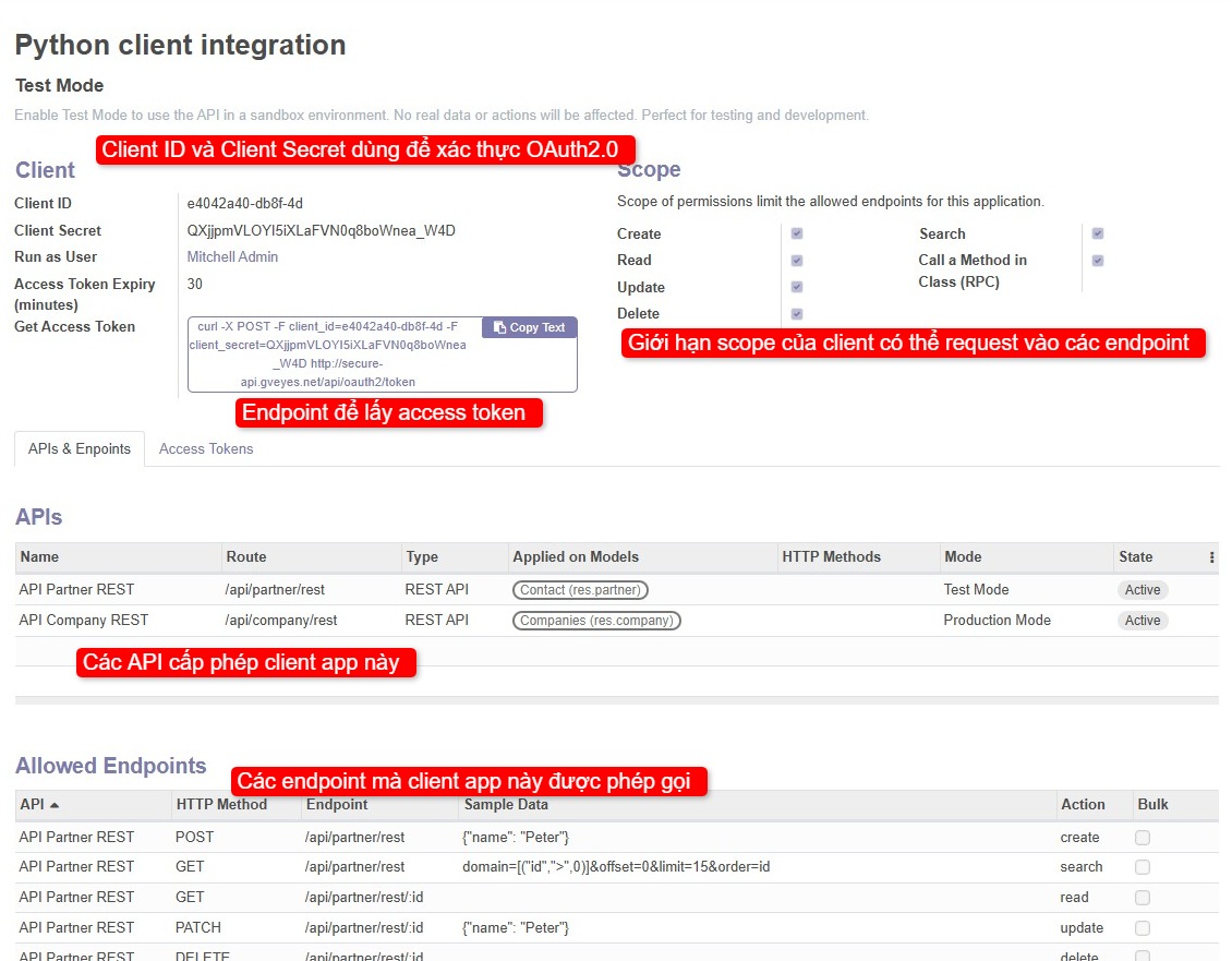 odoo secure_api client application oauth2.0