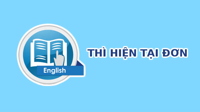 Thì hiện tại đơn, công thức, cách dùng và 100 câu ví dụ