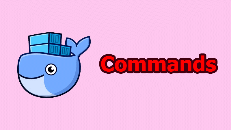 The most popular Docker commands