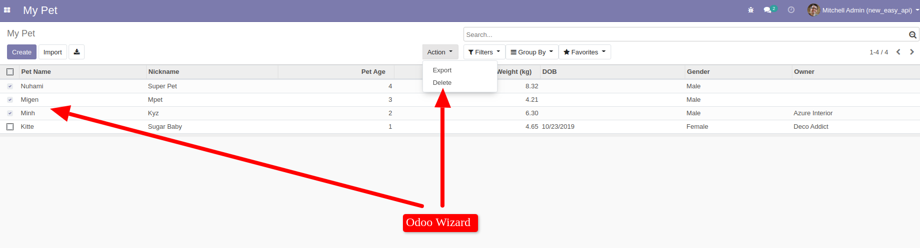 odoo-wizard.png