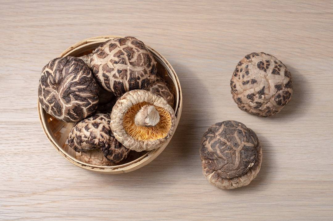 DRIED MUSHROOM