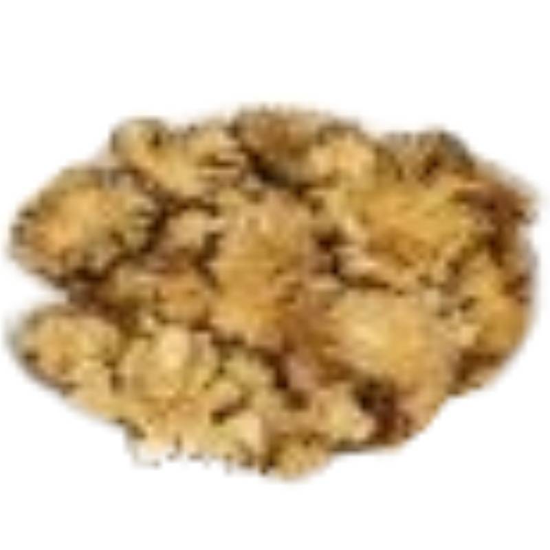 CHUAN GONG (CHUAN XIONG)