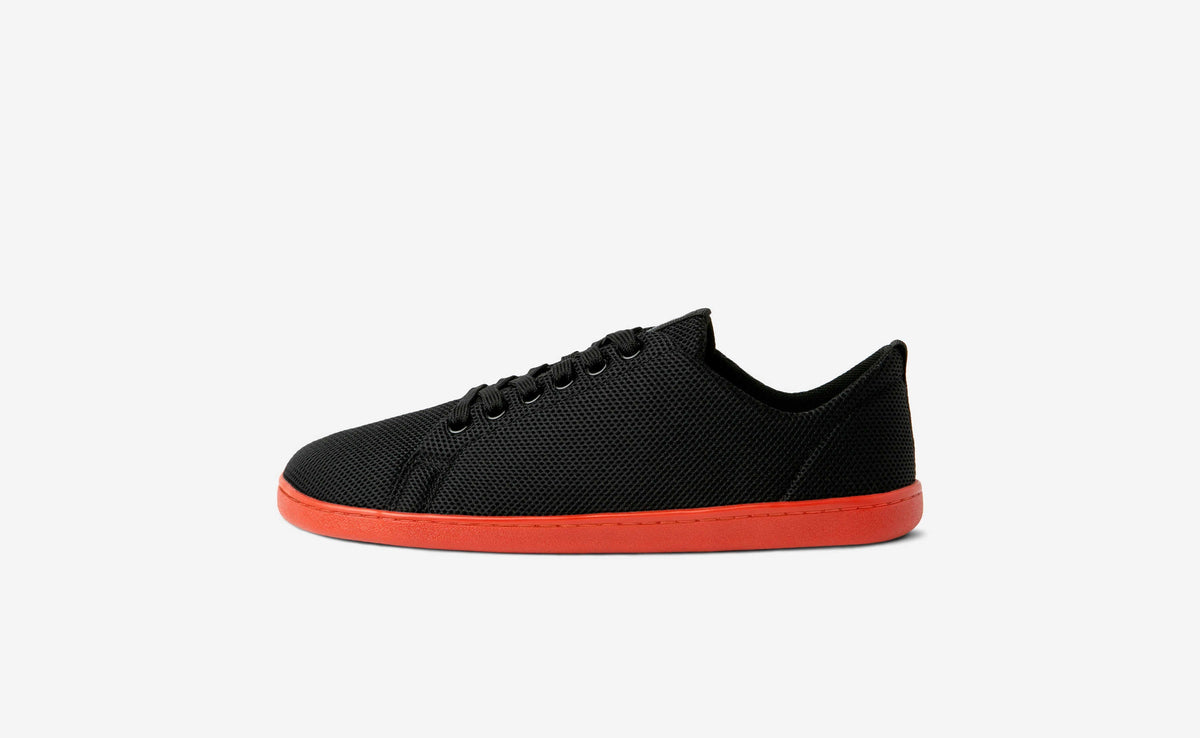 Original Mesh