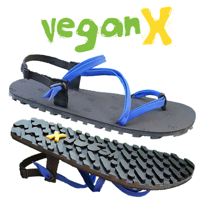 Vegan X