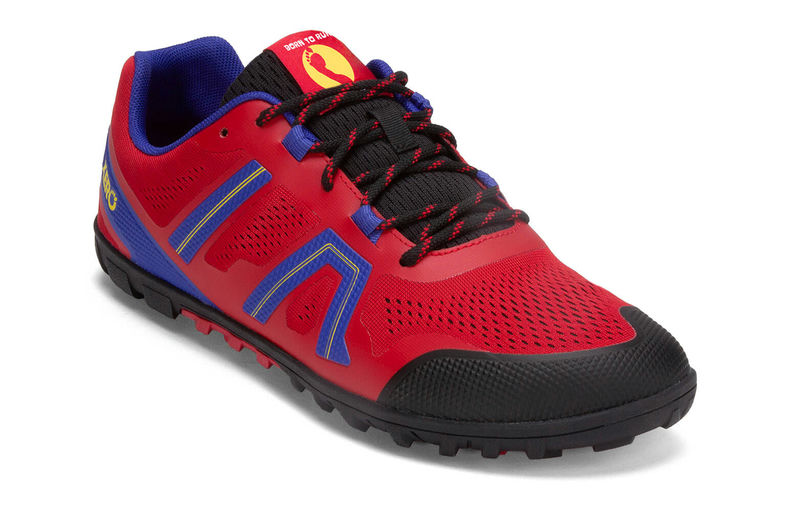 Born To Run Shoes - Men