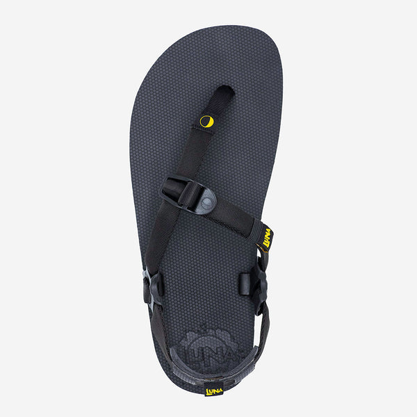 Middle Bear Winged barefoot shoe top view