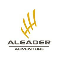 Aleader logo