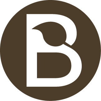 Blifestyle logo