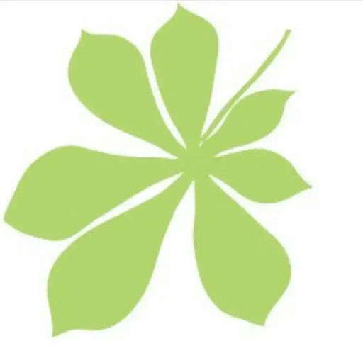 Conker Shoes logo