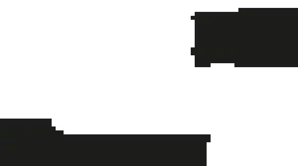 Plus12socks logo