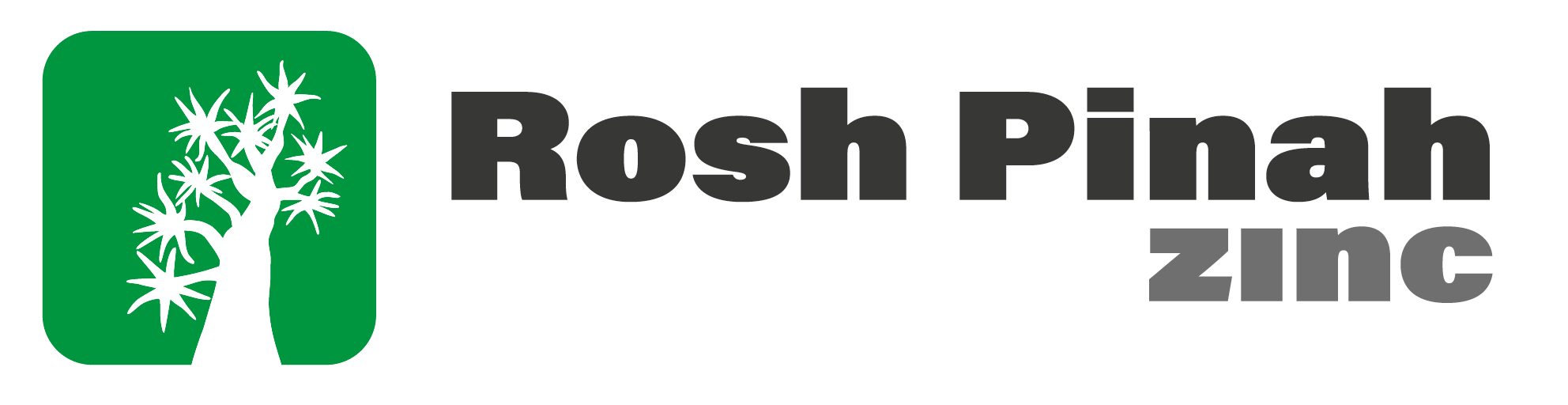 Rosh Pinah Zinc Corporation (Pty) Ltd