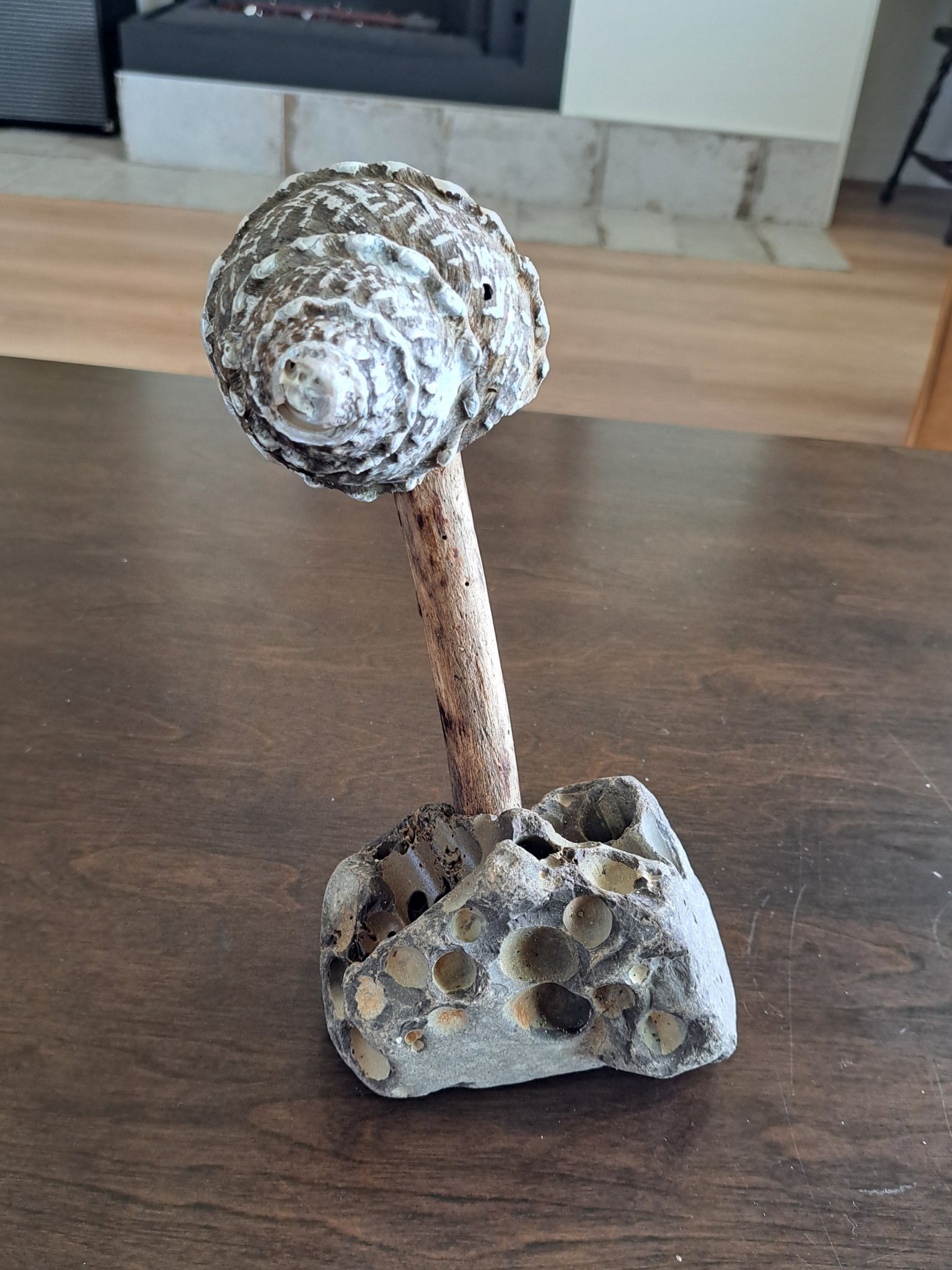 Sculpture by Steven Minnaar