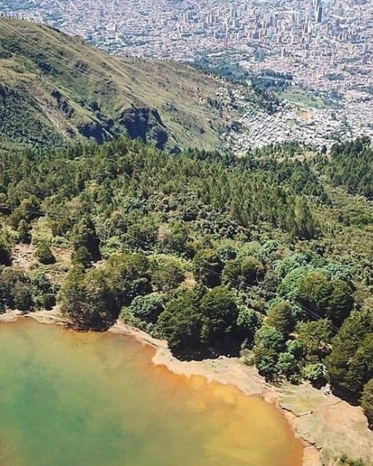 Parque Comfama Arví
