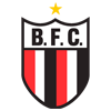 BOTAFOGO S/A