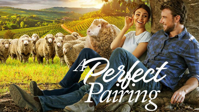 A Perfect Pairing (Hindi Dubbed)